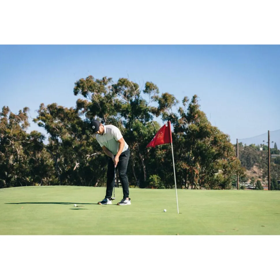 Analyseur de Swing Blast Blast Motion Swing Analyzer