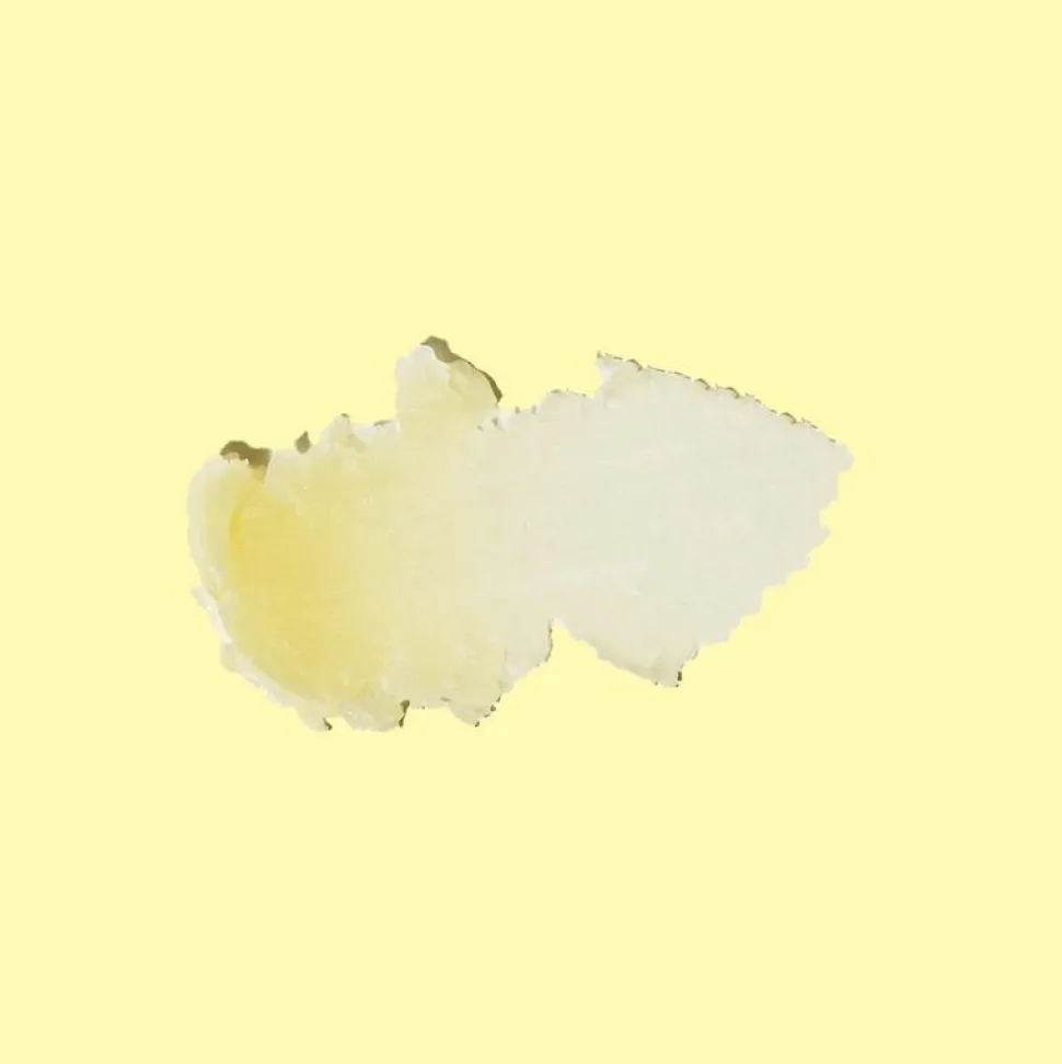 Baume Sun Bum Lip CocoBalm Groove Cherry