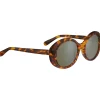 Lunettes de soleil Serengeti Bacall Shiny Tortoise Havana Polarized 555nm