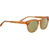 Lunettes de soleil Serengeti Havah Shiny Honey Polarized 555nm